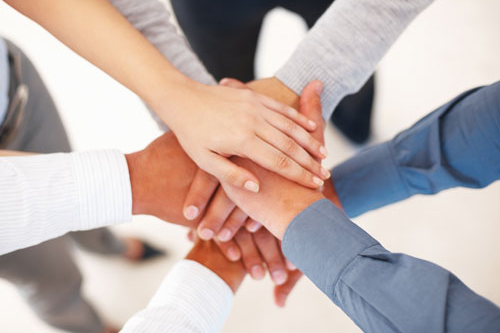 Cam kết của MitaDoor