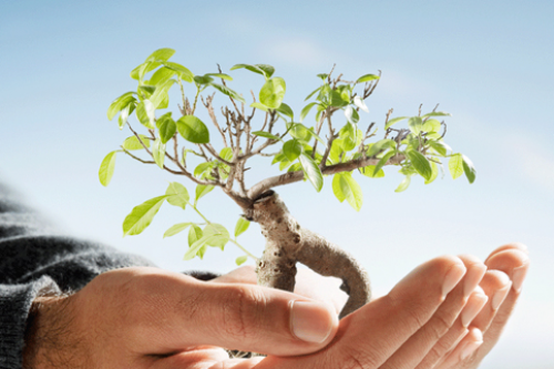 Giá trị cốt lõi kinh doanh